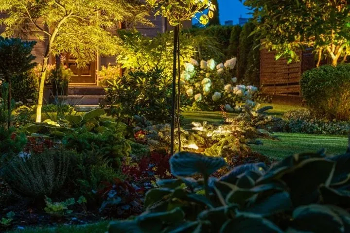 Uplit trees in a garden