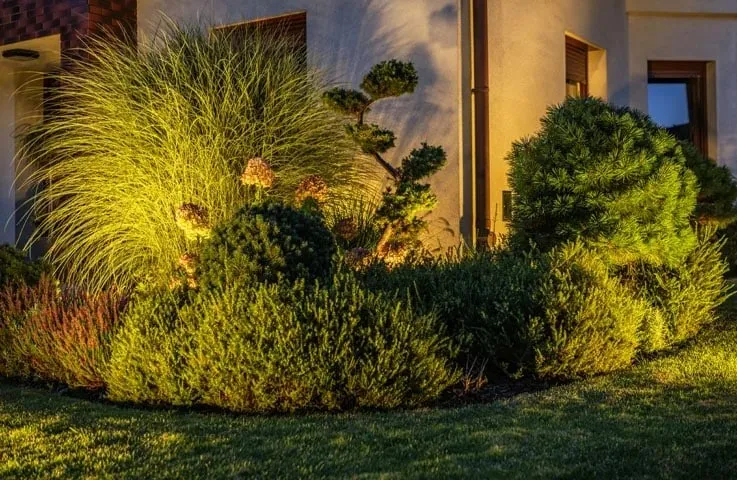 Outdoor lighting in a garden